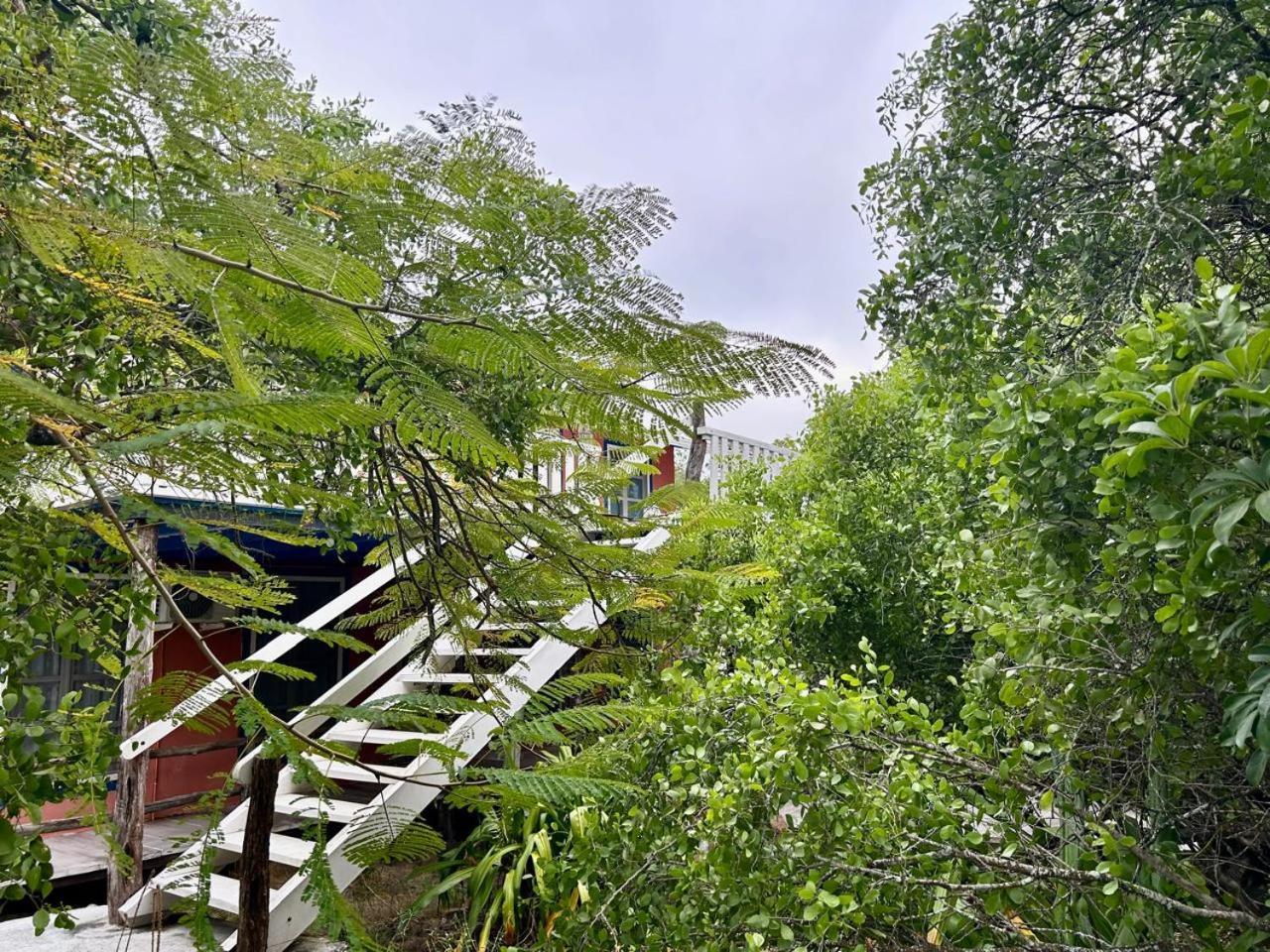 Casa Kubler Bed & Breakfast Puerto Ayora  Luaran gambar